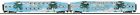 20-61046 Mth Florida Tri Rail24
