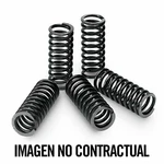 3038 Technium Clutch Spring Kit Compatible With Ktm Sm 660 2002-2003. Fixed Price $34.56.