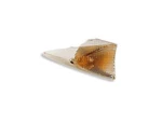 38025 - Right Rear Turn Signal Compatible With Peugeot Speedfight 50. Fixed Price $29.15.