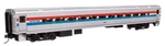 Walthers 85' Horizon Fleet Coach Amtrak Phase Iii 910-31013. Fixed Price $58.98.