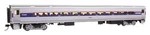 Walthers Mainline 31009 Amtrak 85' Horizon Fleet Coach Passenger Car. Fixed Price $48.43.