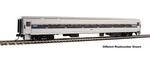 Walthers Scale Horizon Fleet Coach Amtrak Phase Iv #54563 910-31009. Fixed Price $33.92.
