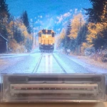 Rapido Trains Inc. Amtrak Phase 3 Tide Horizon Coach Passenger Car 54004. Fixed Price $105.00.