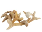 Fossil Shark Teeth Odontaspis Species (10 Pc's) Khouribga Morocco (EA5154) Bulk. Fixed Price $18.14.