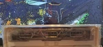 Rapido Trains Inc. Osgood Bradley 10 Window Coach Canadian National Ho Gauge. Fixed Price $79.95.
