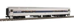 Walthers Scale Horizon Cafe / Club Food Service Car Amtrak 910-31057. Fixed Price $33.92.