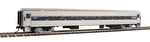 Walthers 910-31001 Scale Amtrak Phase Iv Rtr 85' Horizon Fleet Coach Car. Fixed Price $42.48.