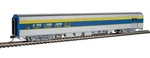 Walthers Ho Scale 85' Budd Baggage-lounge Delaware & Hudson 910-30063. Fixed Price $49.48.
