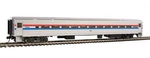 Walthers Scale Horizon Fleet Coach Amtrak Phase Iii #54056 910-31013. Fixed Price $38.92.