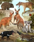 Australian Animal Wildlife Toy Model Figures For Cake Toppers Dioramas New. Fixed Price $16.02.