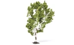 Hornby Birch Tree. Fixed Price $20.67.