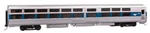 Walthers Ho 85' Viewliner Sleeper Amtrak Early Decal 11306. Fixed Price $130.98.